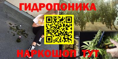 Альфа ПВП Канаш