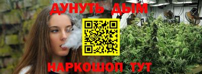 Альфа ПВП Канаш