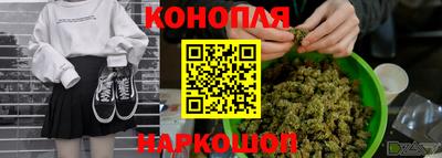 дурь Кингисепп