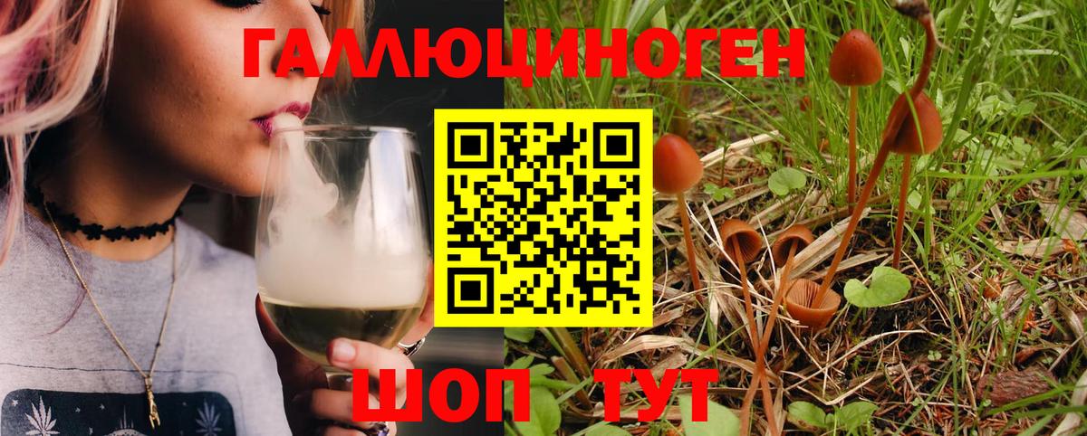Псилоцибиновые грибы мухоморы Кропоткин