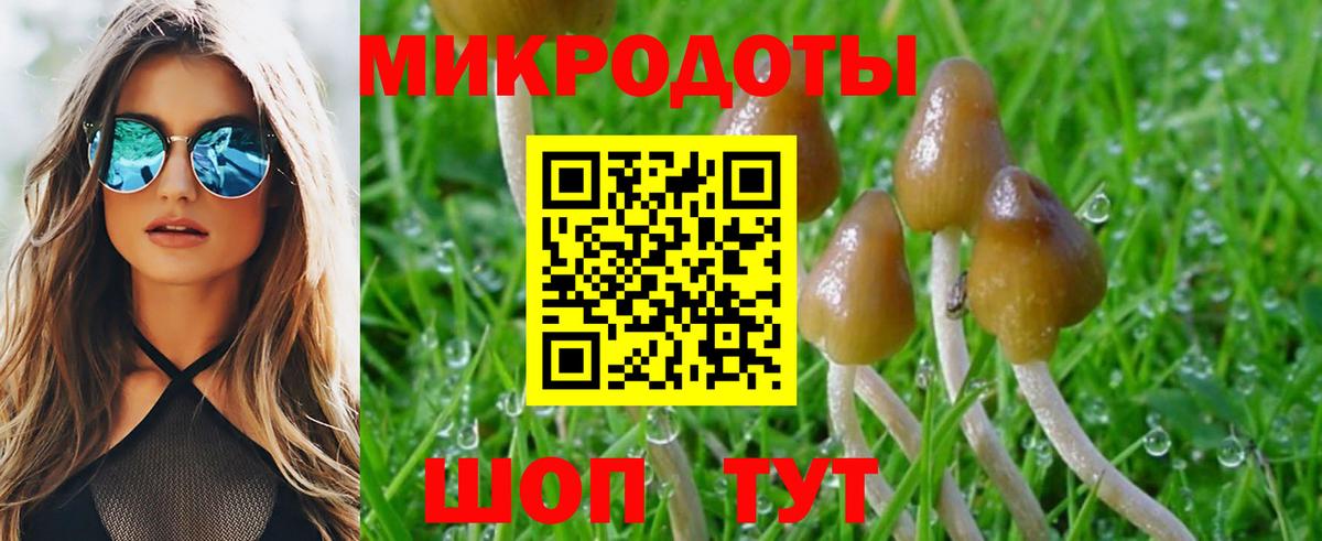 Псилоцибиновые грибы мицелий  Вход с VPN  Кропоткин 